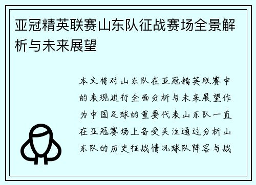 亚冠精英联赛山东队征战赛场全景解析与未来展望